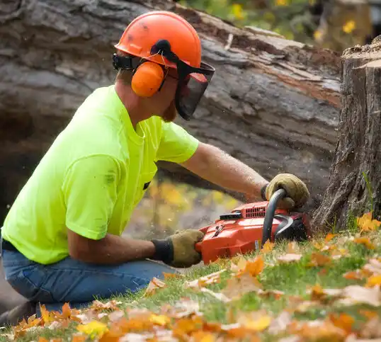 tree services Scotch Meadows